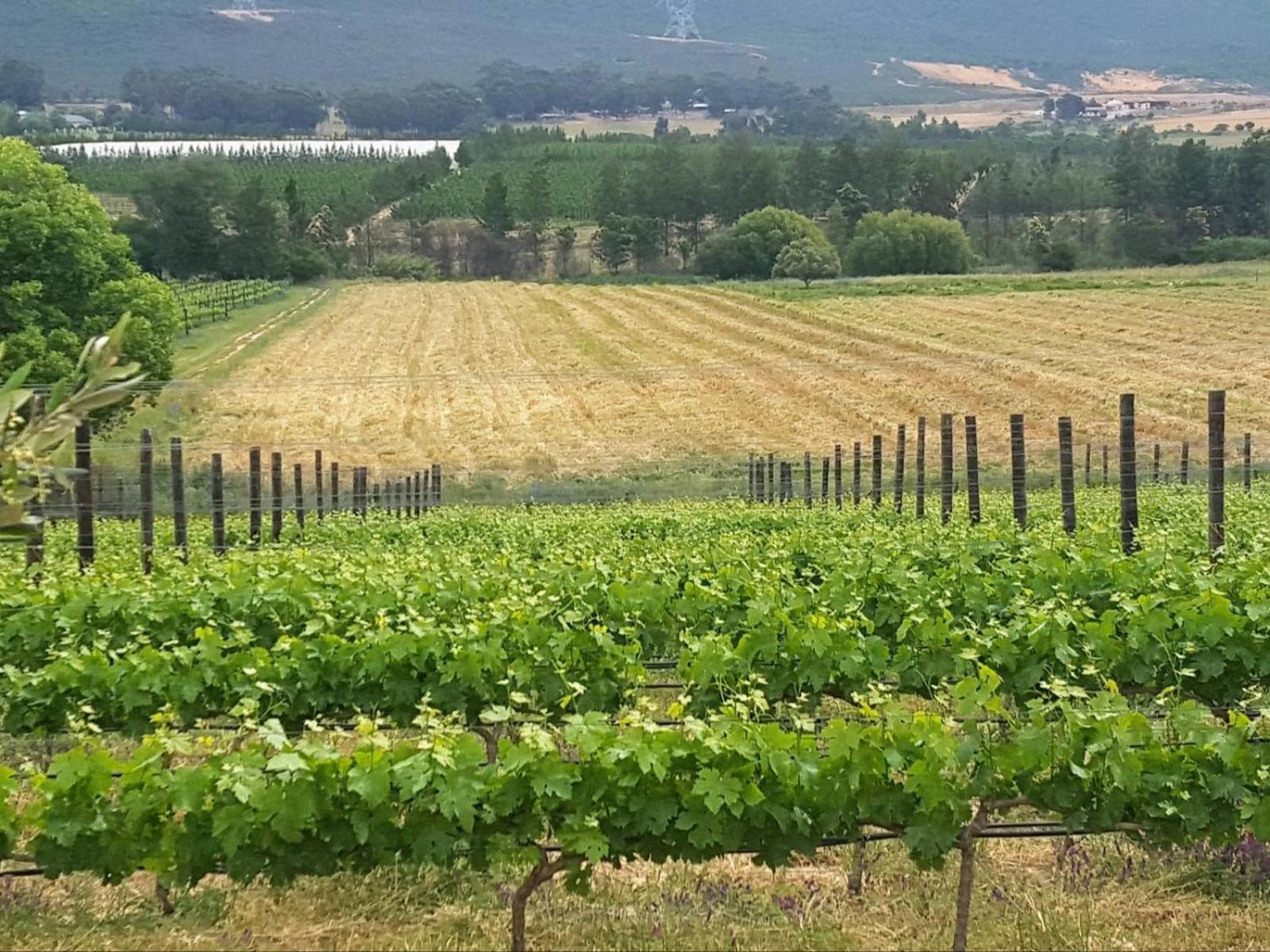 Lemberg Wine Estate Villa Tulbagh Exteriör bild